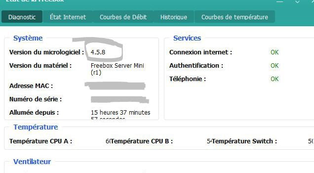 Capture d'écran sous Freebox OS de l'état d'une Freebox Mini 4K en version 4.5.8