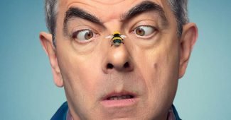 Capture d'écran de l'affiche de la série "Seul face à l'abeille"