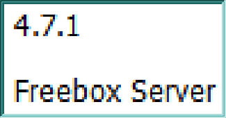 Capture d'écran sous Freebox OS de l'état d'une Freebox Mini 4K en version 4.7.1
