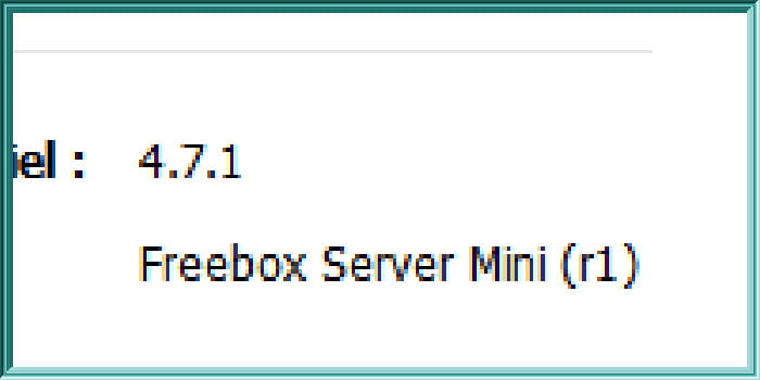 Capture d'écran sous Freebox OS de l'état d'une Freebox Mini 4K en version 4.7.1