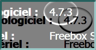 Capture d'écran sous Freebox OS de l'état d'une Freebox Mini 4K en version 4.7.3