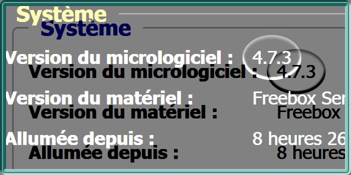 Capture d'écran sous Freebox OS de l'état d'une Freebox Mini 4K en version 4.7.3