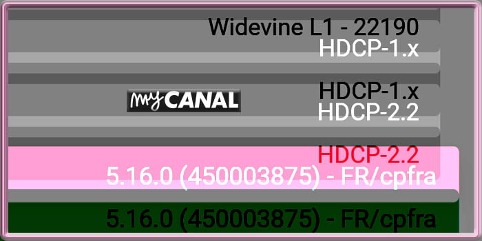 Capture d'écran de l'application Android TV myCANAL en version 5.16.0